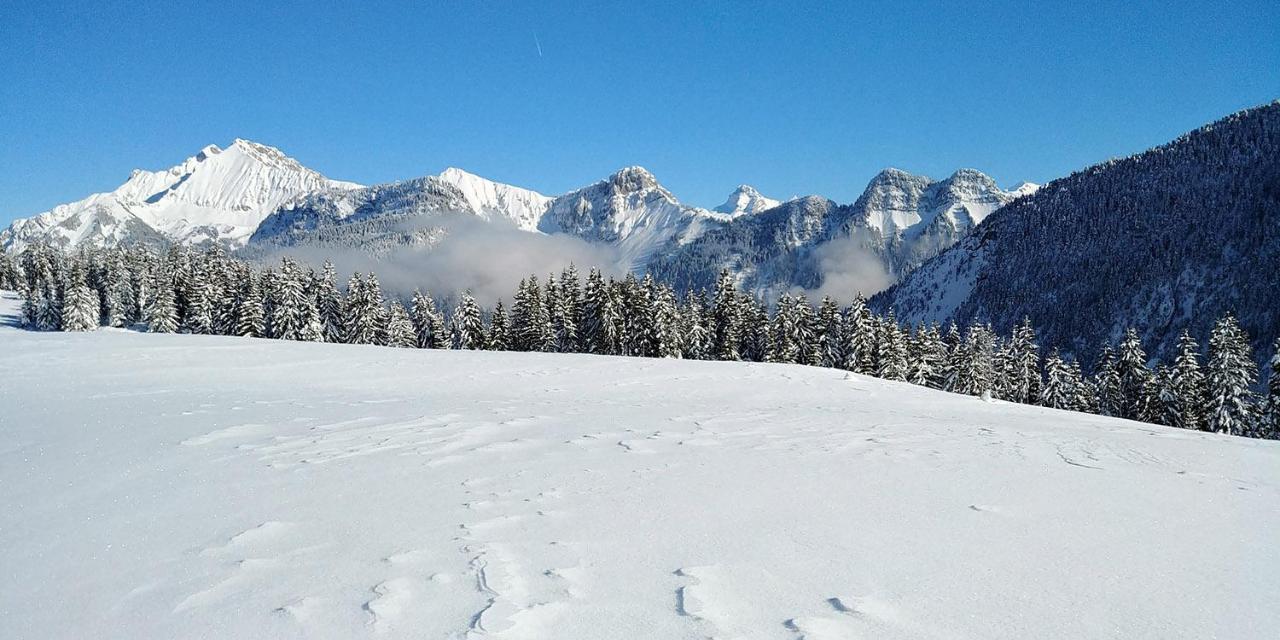 Gite Les Lanfiannes Thorens-Glières Exterior foto