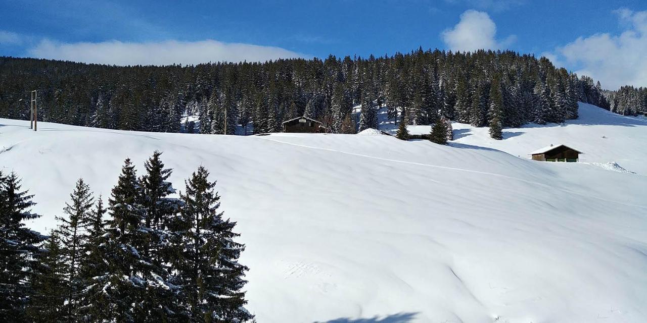 Gite Les Lanfiannes Thorens-Glières Exterior foto