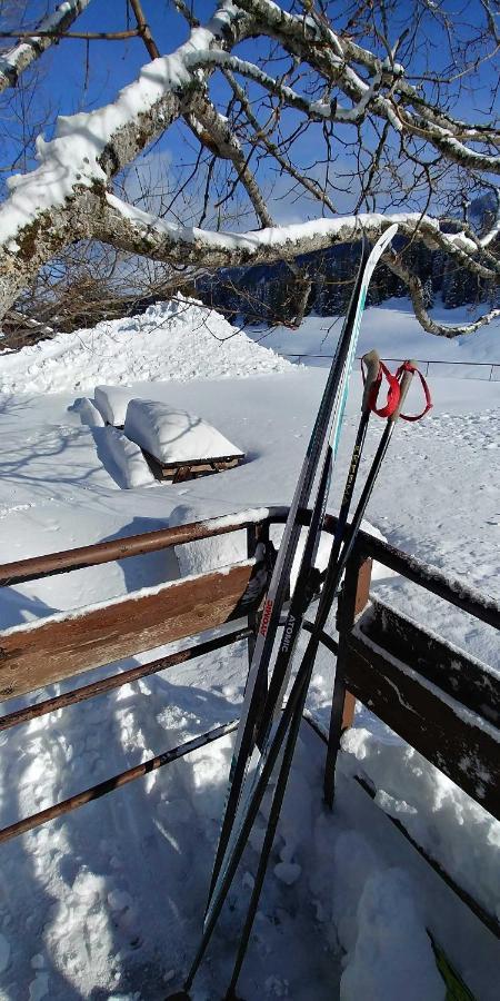 Gite Les Lanfiannes Thorens-Glières Exterior foto