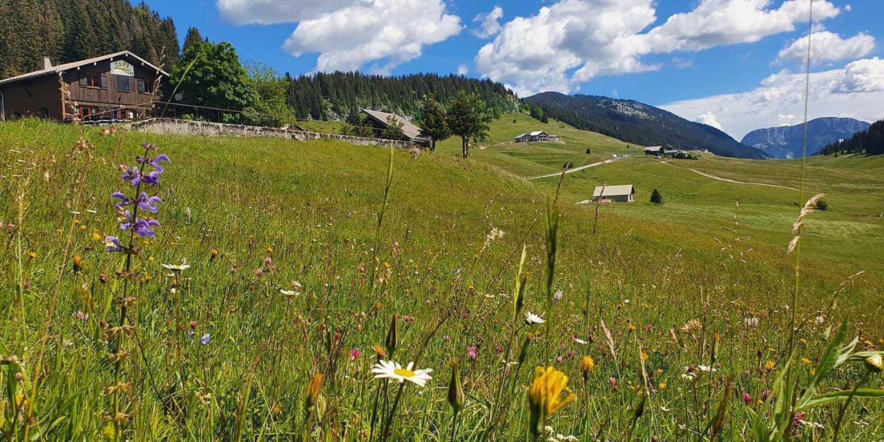 Gite Les Lanfiannes Thorens-Glières Exterior foto