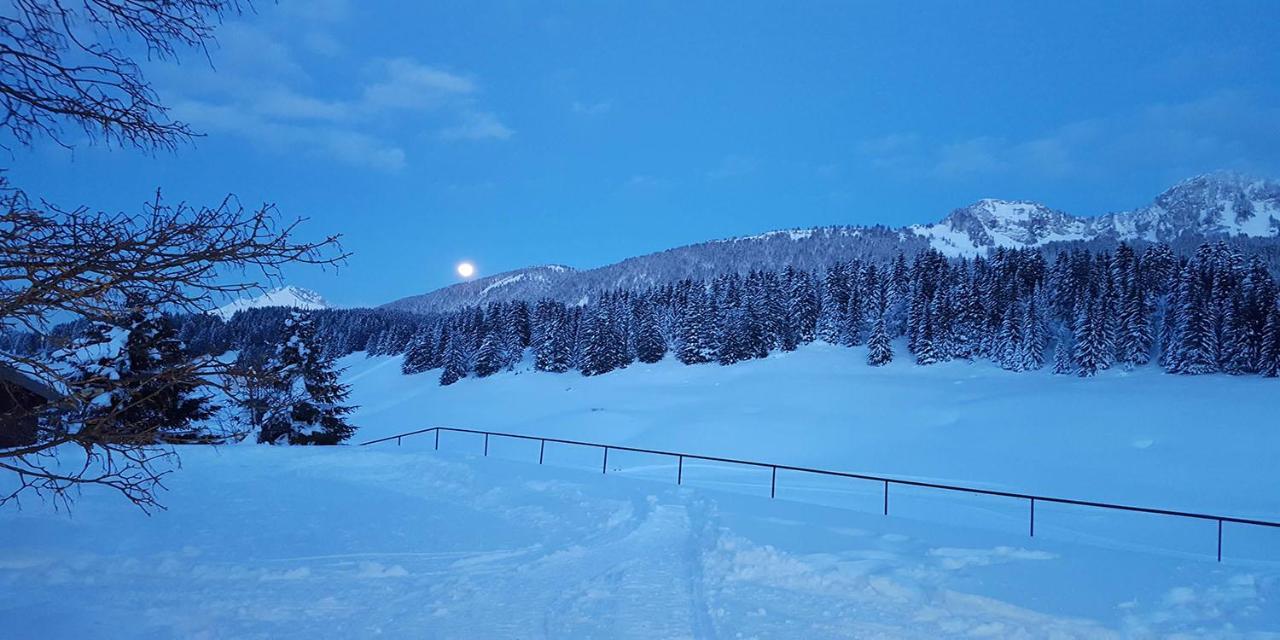 Gite Les Lanfiannes Thorens-Glières Exterior foto