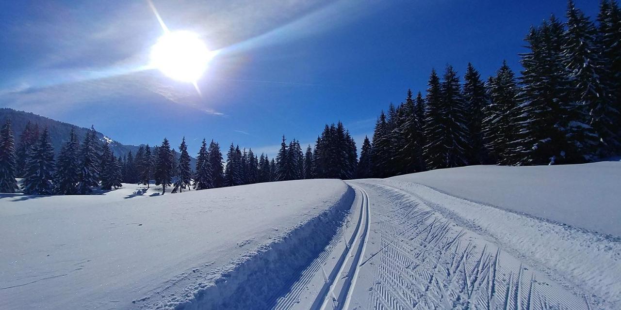 Gite Les Lanfiannes Thorens-Glières Exterior foto